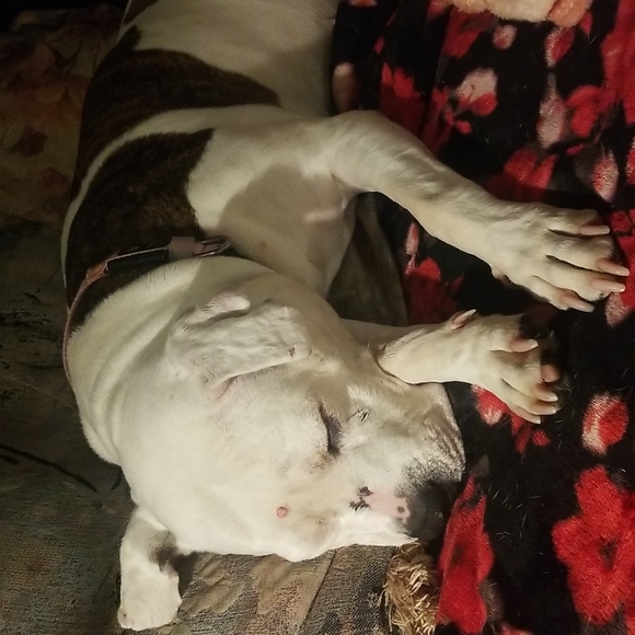 sale - Picture 16 of 16